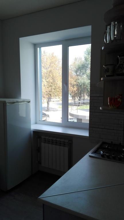 Apartment on Kryvorizhstal Street 35-24 Kryvy Rih Buitenkant foto